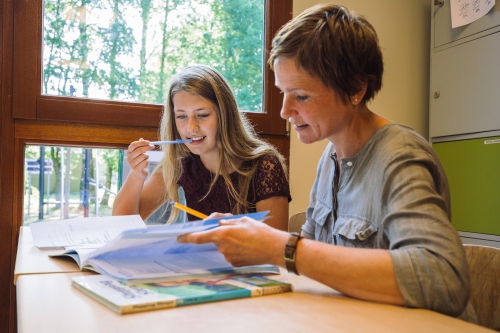 Havo